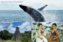 collage DomGuaMex