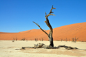 sossusvlei